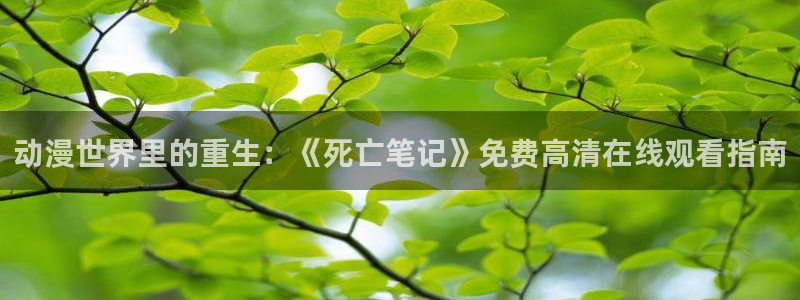 魔女之旅樱花动漫全集：动漫世界里的重生：《死亡笔记》免费高清在线观看指南