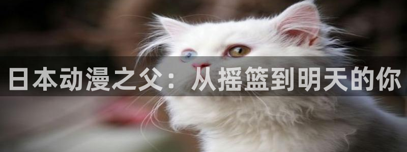 金装的维尔梅樱花动漫：日本动漫之父：从摇篮到明天的你