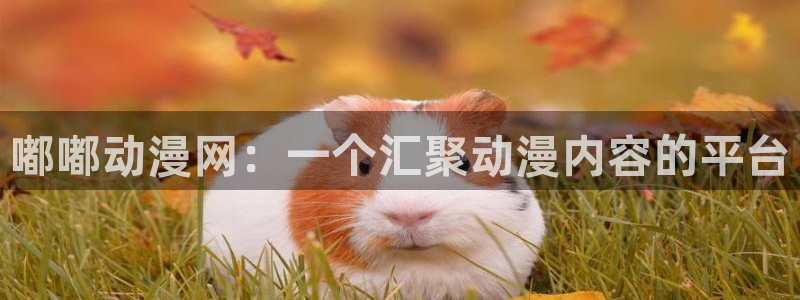 樱花动漫tv版下载：嘟嘟动漫网：一个汇聚动漫内容的平台