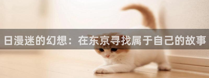 樱花动漫入囗：日漫迷的幻想：在东京寻找属于自己的故事