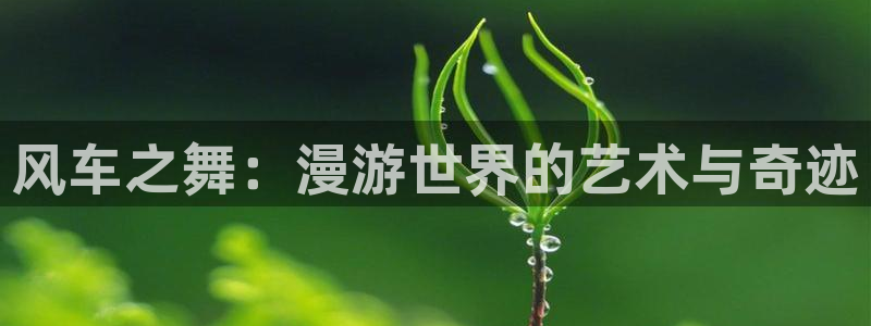 魔道祖师动漫樱花动漫：风车之舞：漫游世界的艺术与奇迹