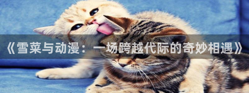 一念永恒樱花动漫免费观看：《雪菜与动漫：一场跨越代际的奇妙相遇》